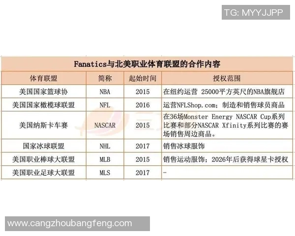 选择足球球星卡投资的最佳球员推荐与市场趋势分析